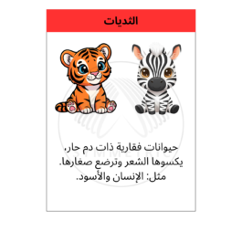 العلوم – الحيوانات الفقارية