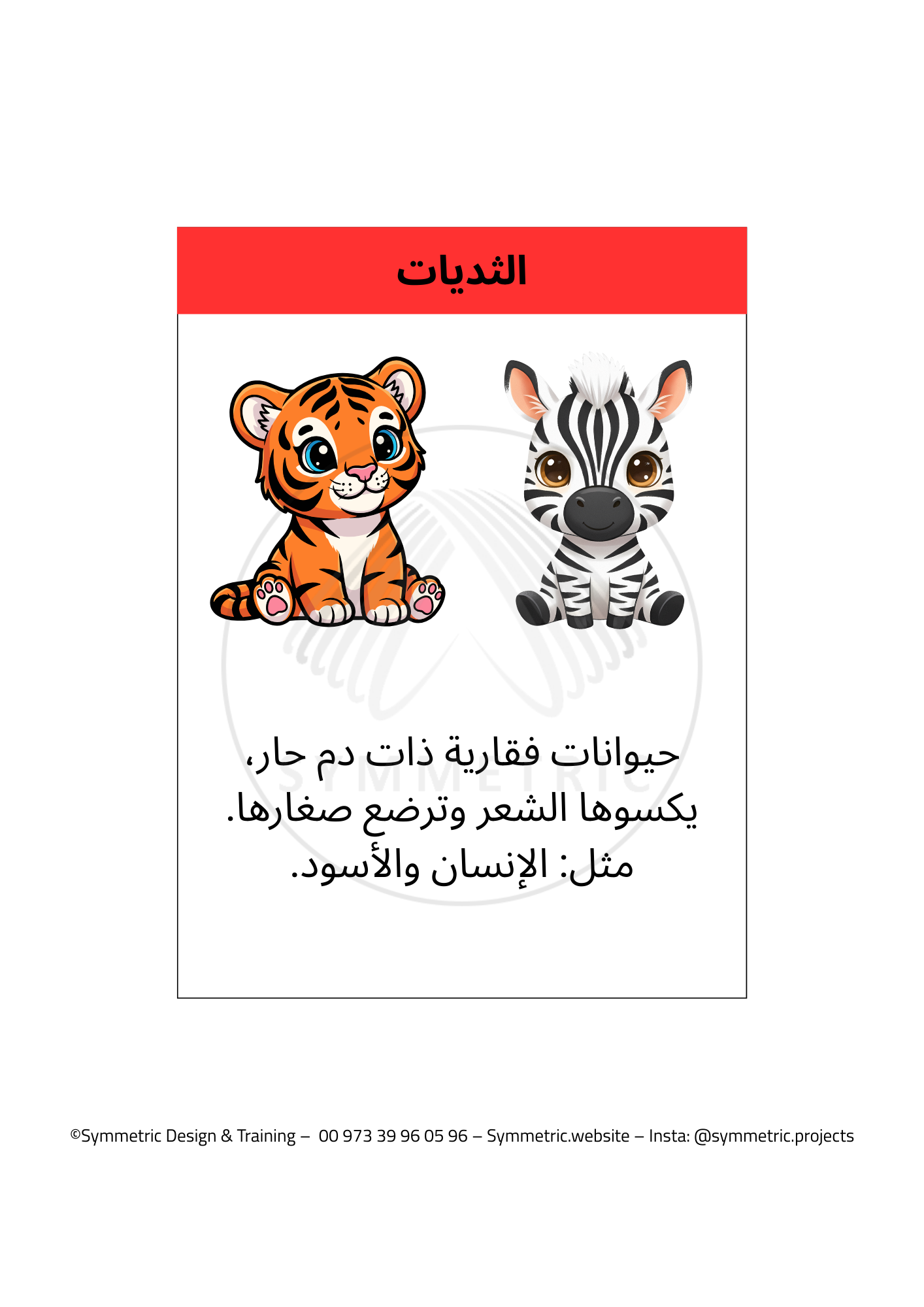 العلوم - الحيوانات الفقارية - Image 2