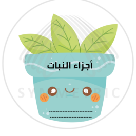 العلوم – أجزاء النبات