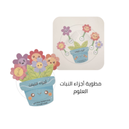 العلوم – أجزاء النبات